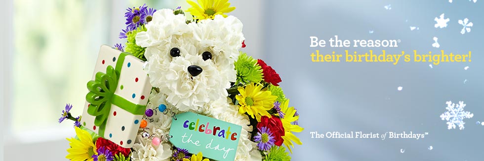 Birthday Flowers and Gifts