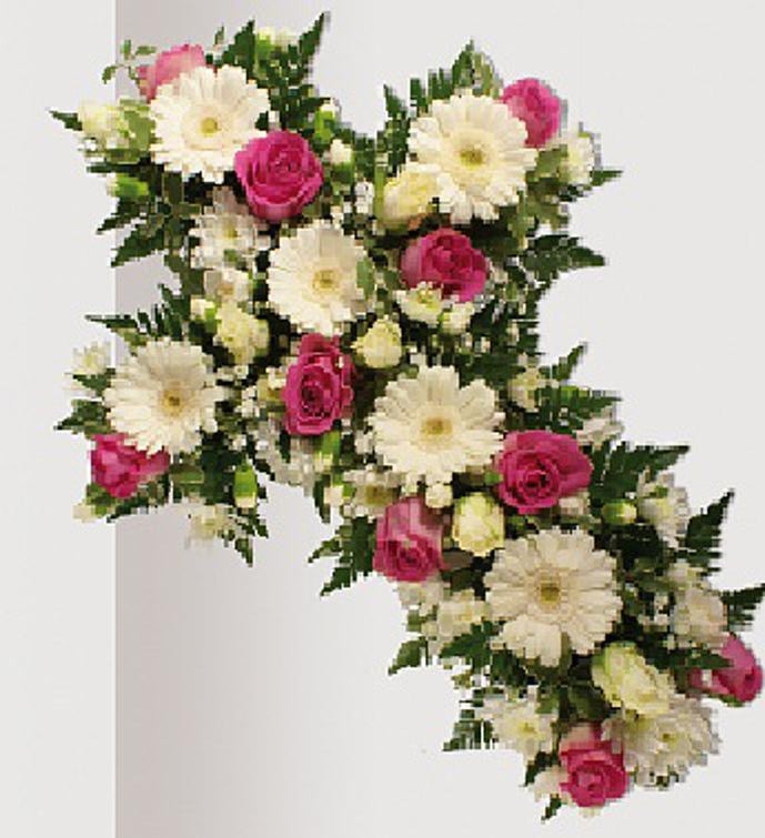 Last Kiss for Sympathy