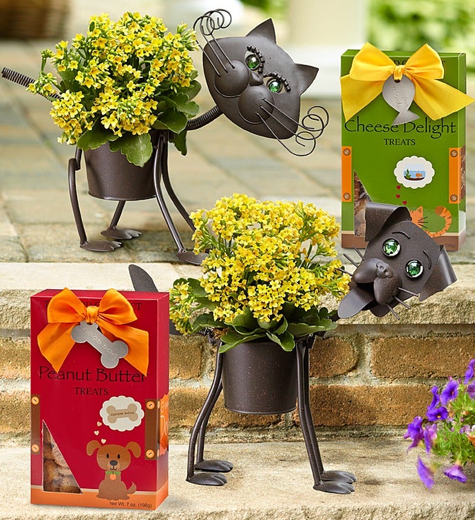 My Pet Plant Dog or Cat from