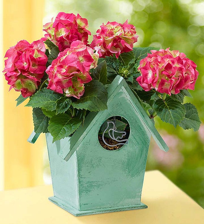 Bird House of Blooms®  1800Flowers.com  101643