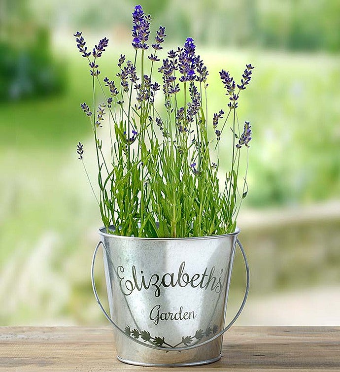 Personalized Lavender Garden Pail
