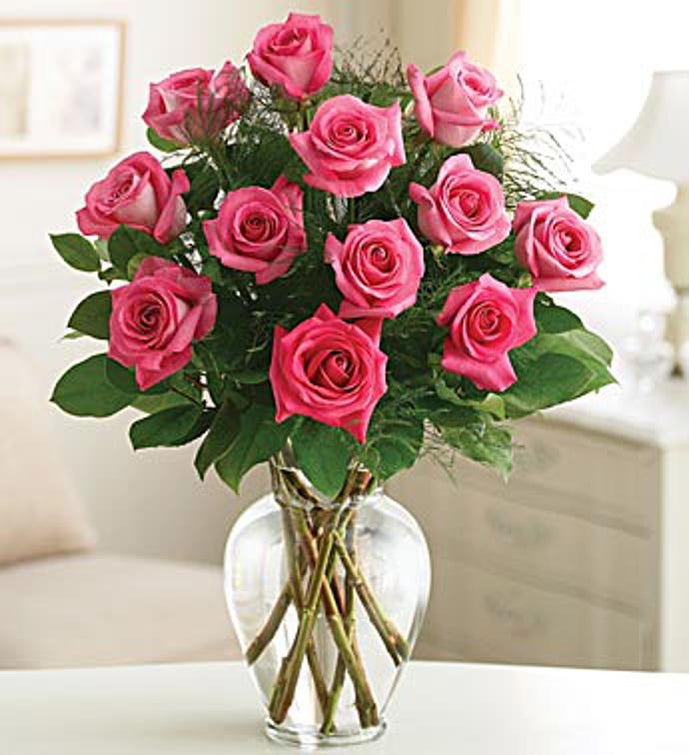 Rose Elegance™ Premium Pink Roses