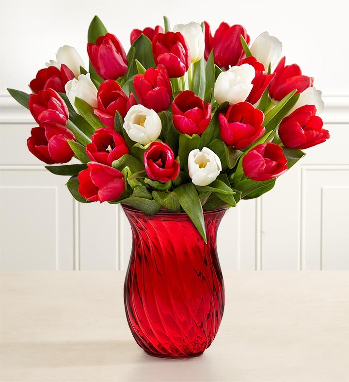 Holiday Tulips + Free Vase