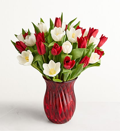Holiday Tulips™