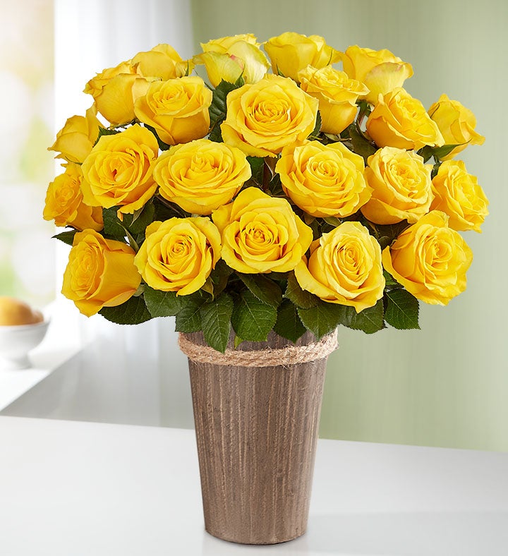 Yellow Roses, 12 24 Stems