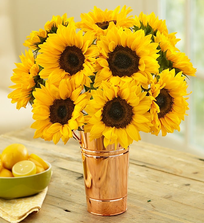 10 Sunflowers + Free Vase & Cookies