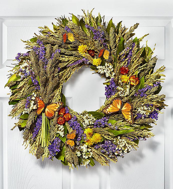 Preserved Butterfly Wreath   22"