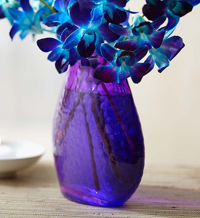1800flowers Free Shipping >> Ocean Breeze Orchids | 1800Flowers.com - 140953 1800flowers Free Shipping >> Ocean Breeze Orchids | 1800Flowers.com - 140953