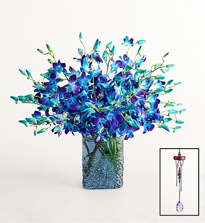 Ocean Breeze Orchids