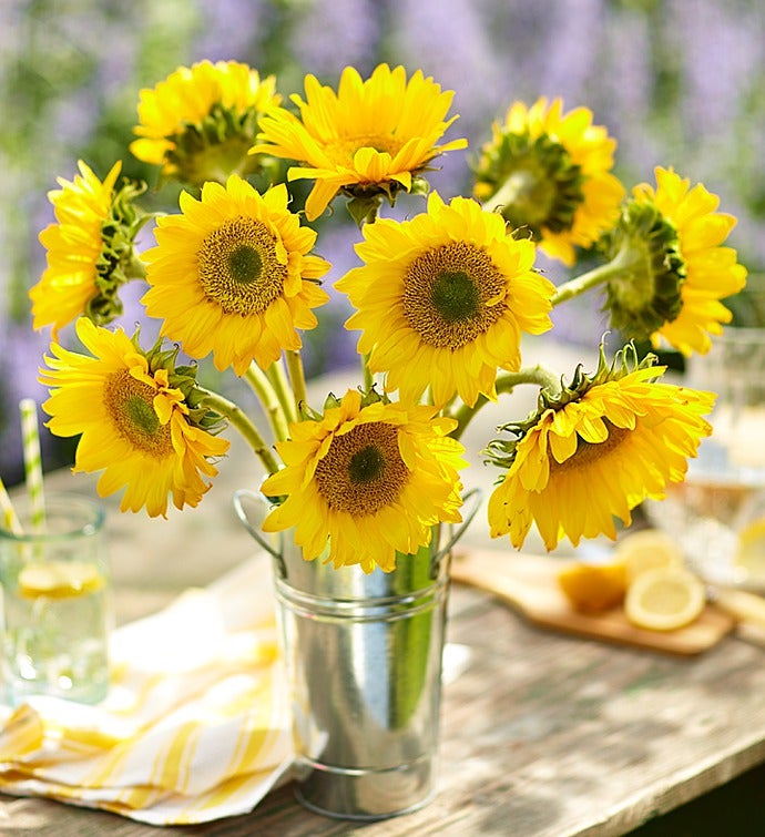 Sunbeam Sunflowers