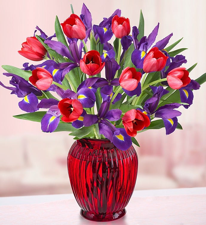 Hugs & Kisses Tulip & Iris + Free Vase
