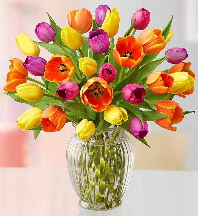Radiant Tulips for Mom