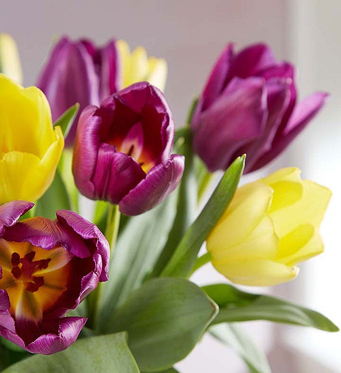 Spring Passion Tulip Bouquet