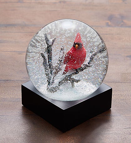 Cardinal Snow Globe by CoolSnowGlobes