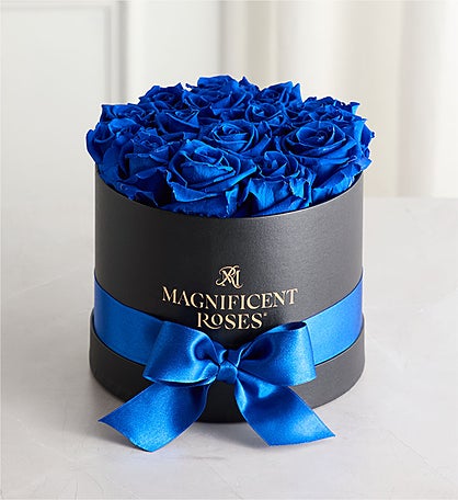 Magnificent Roses® Preserved Blue Velvet Roses