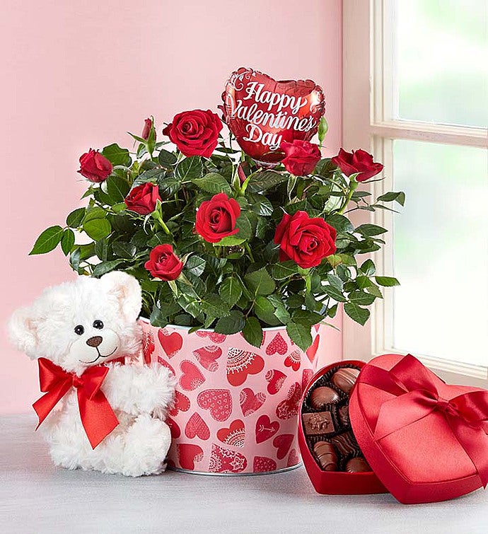 Valentines Flowers Delivery & Valentine's Day Gifts | 1800Flowers.com