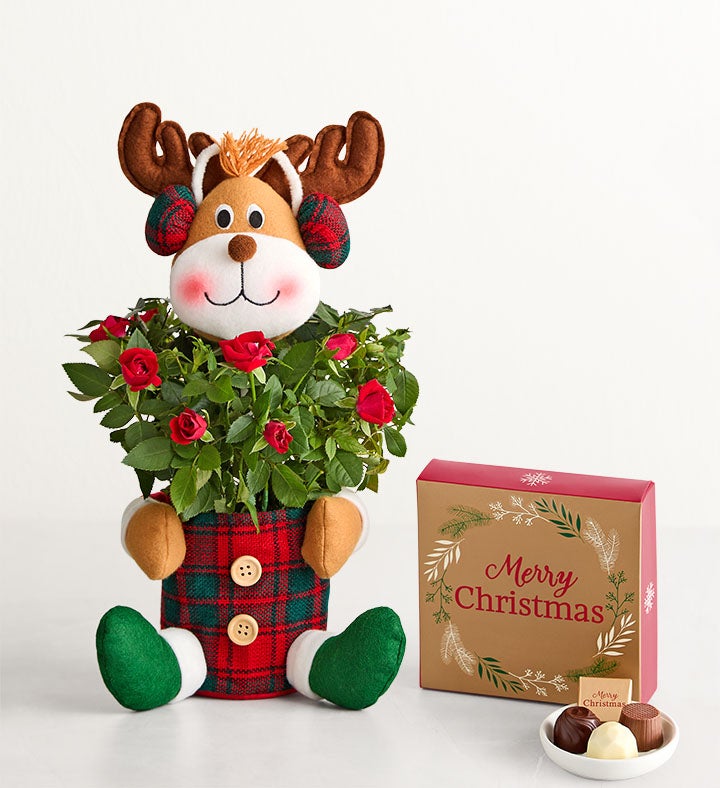 Red Rose Reindeer