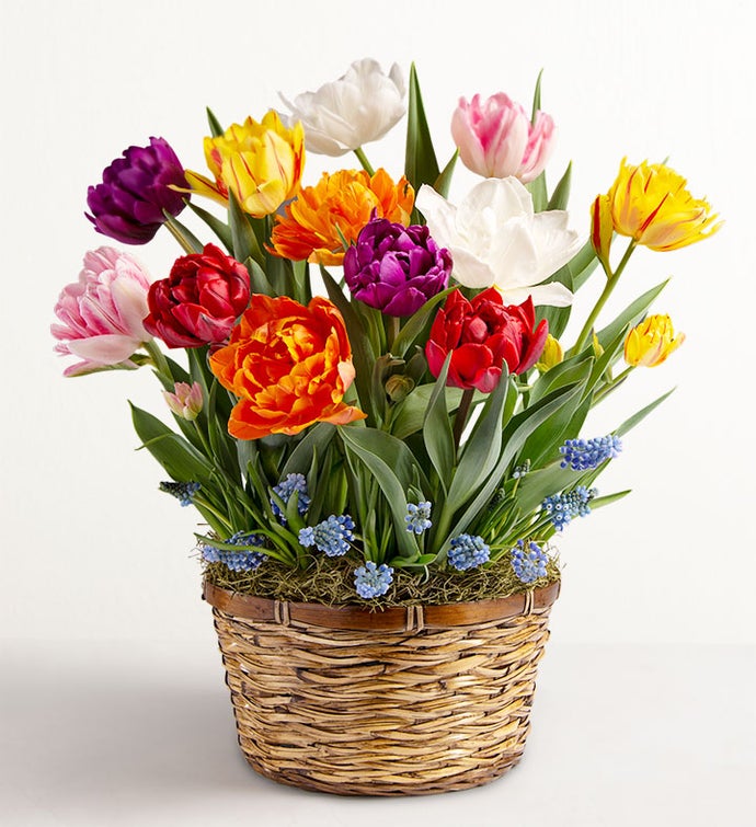 Bountiful Blooms Bulb Garden