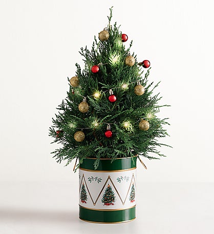 Winter Wishes Cypress Tree