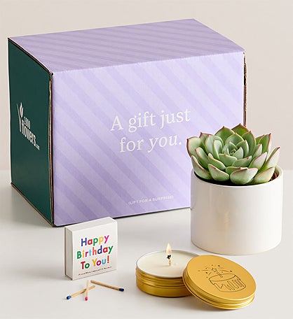 Celebration Succulents™ Hooray! It’s Your Birthday