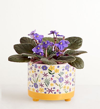 Thanks For Helping Me Grow African Violet