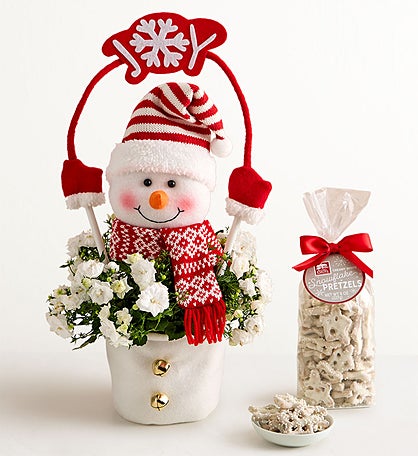 Frosty the Snow Plant