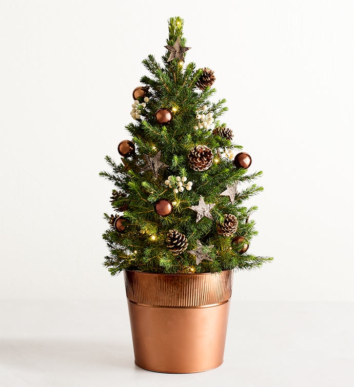 Christmas Traditions Decorated Spruce Tree