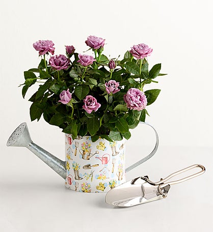 Spring Watering Can