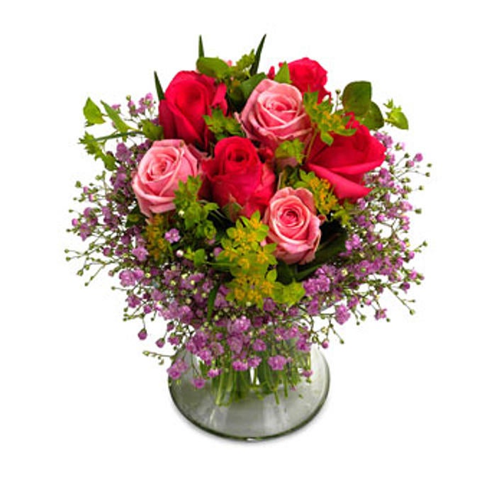Roses of Romance