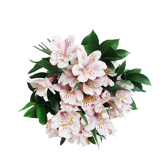 Original Bouquet