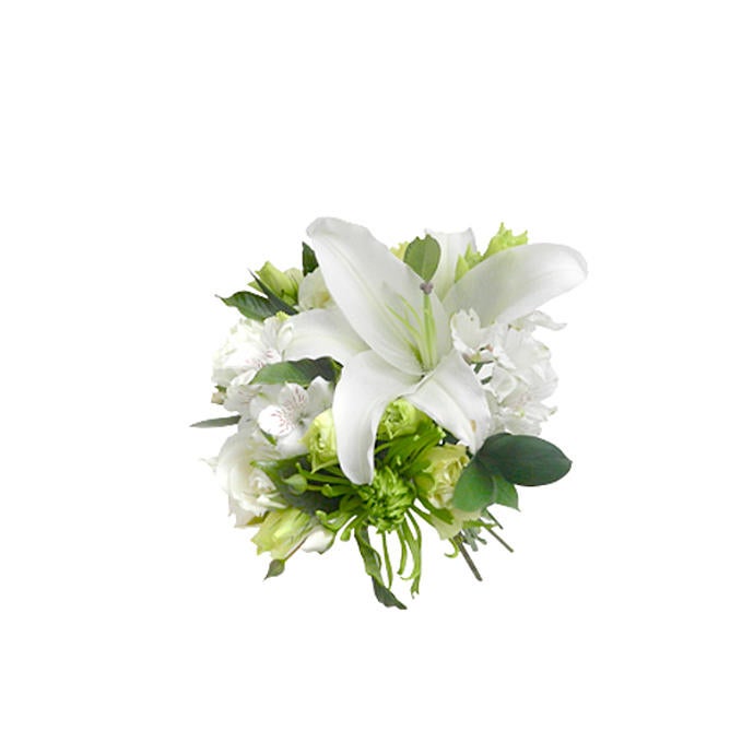 Delicate - Medium