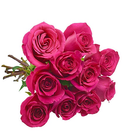 10 Pink Colombian Roses