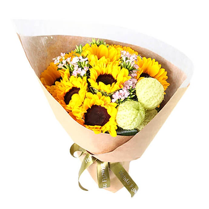 Sunshine Daisies