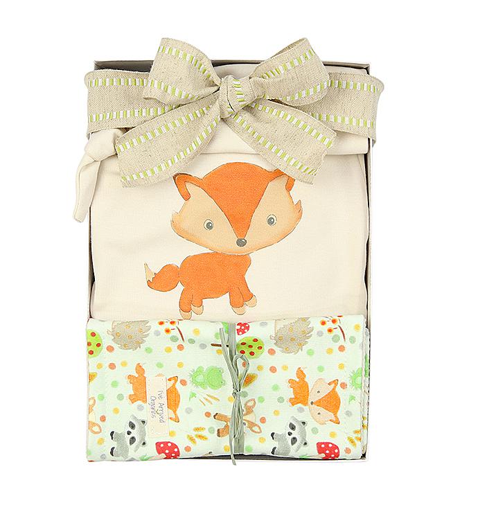 I’ve Arrived Organics Baby Gift Box Fox