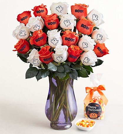 Boo Blooms Conversation™ Roses