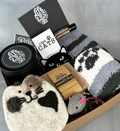 Life Is Better With Cats