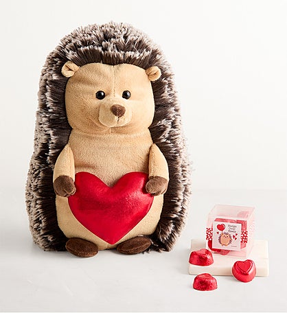 Hedge over Heels Hedgehog with Chocolate