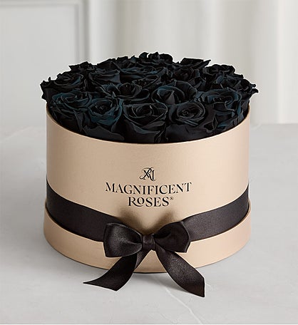 Magnificent Roses® Preserved Black Roses