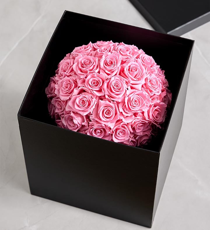 Magnificent Roses® Preserved Domani Pink Rose Iridescent