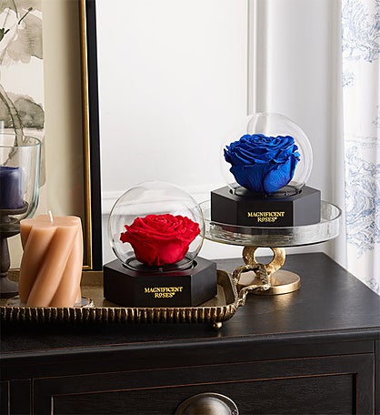 Magnificent Roses® Preserved Illuminating Rose