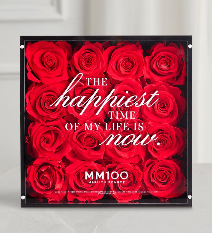 Marilyn Monroe™ Happiest Magnificent Roses®