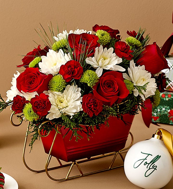 Dashing Through the Snow Sleigh™