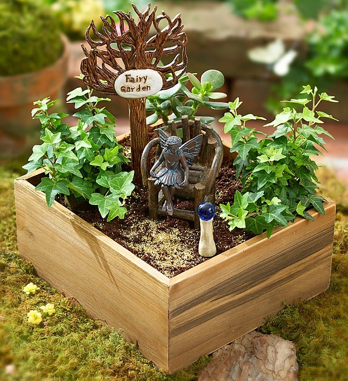 Miniature Fairy Garden Kit
