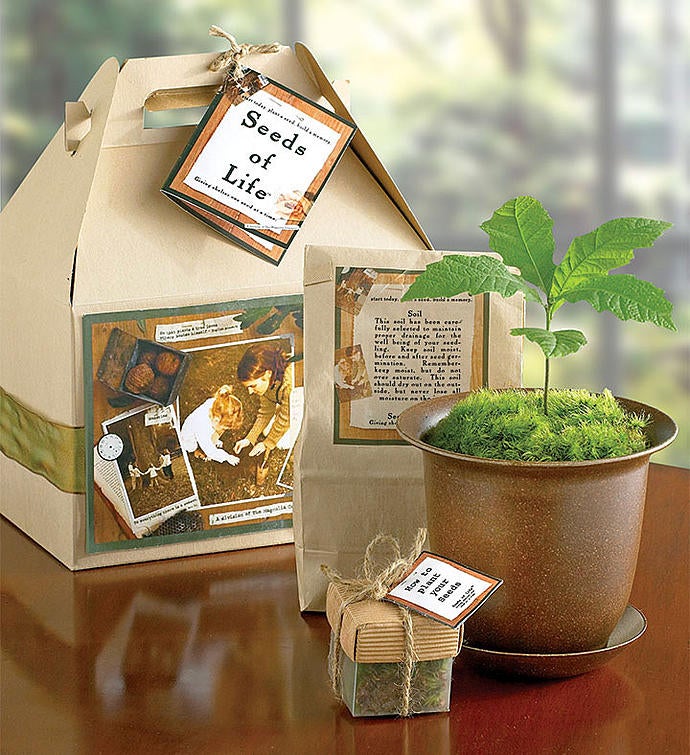 Seeds of Life™ Tree Kit