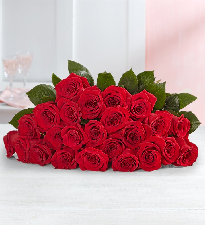Two Dozen Romantic Red Roses
