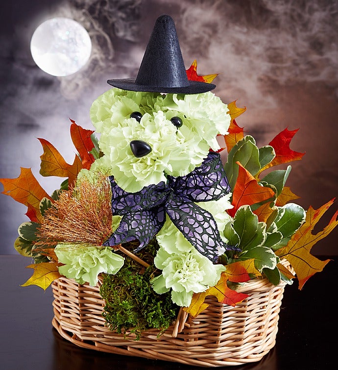 Witchy Pooch™