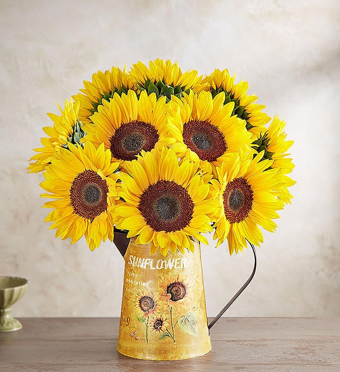 Sunflowers + Free Vase