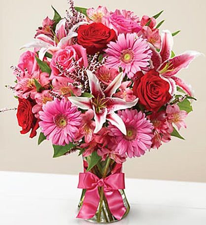 Fields of Europe Romance