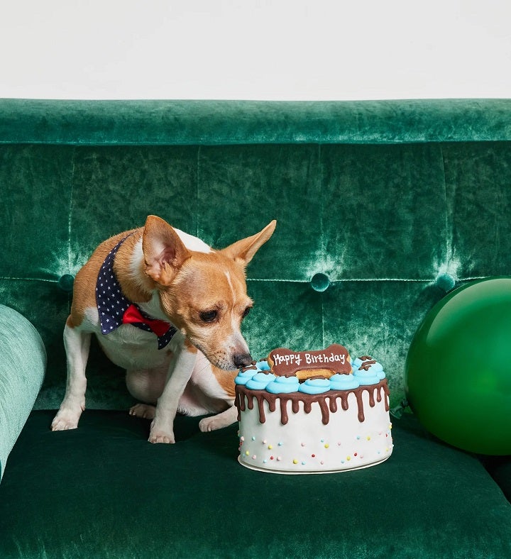 Hand Decorated Dog Birthday Cake