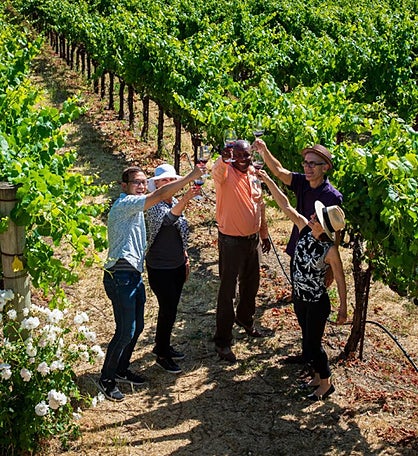 Redwoods & Wine Country Tour For Two - California